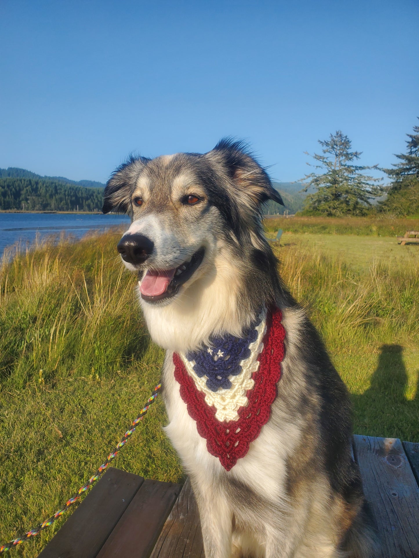 Americana Pet Bandana