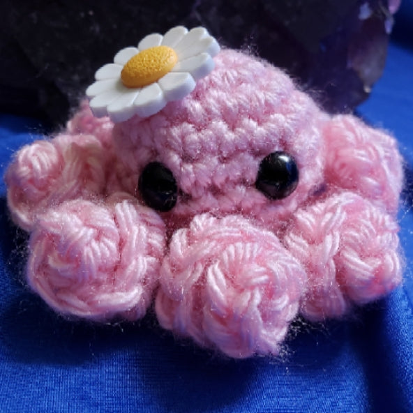 Daisy Octopus