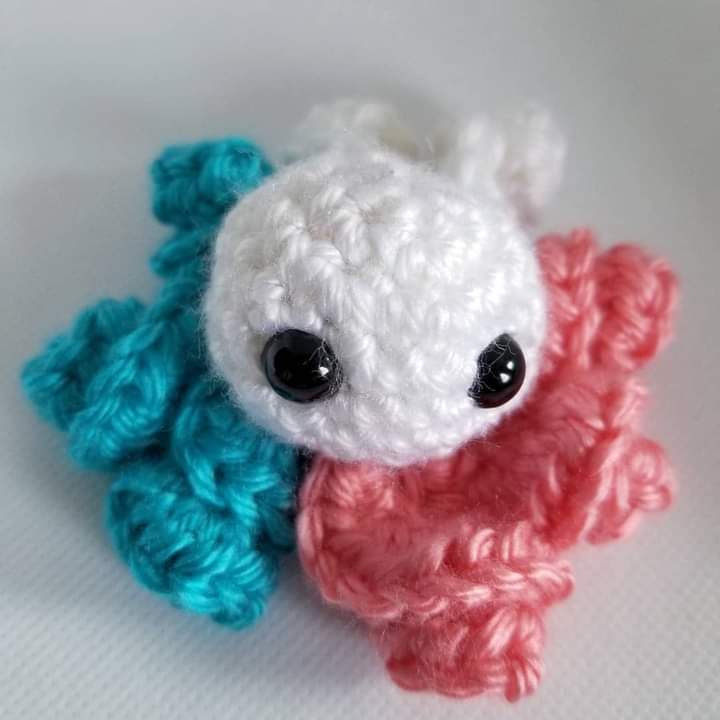 Pride Octopus