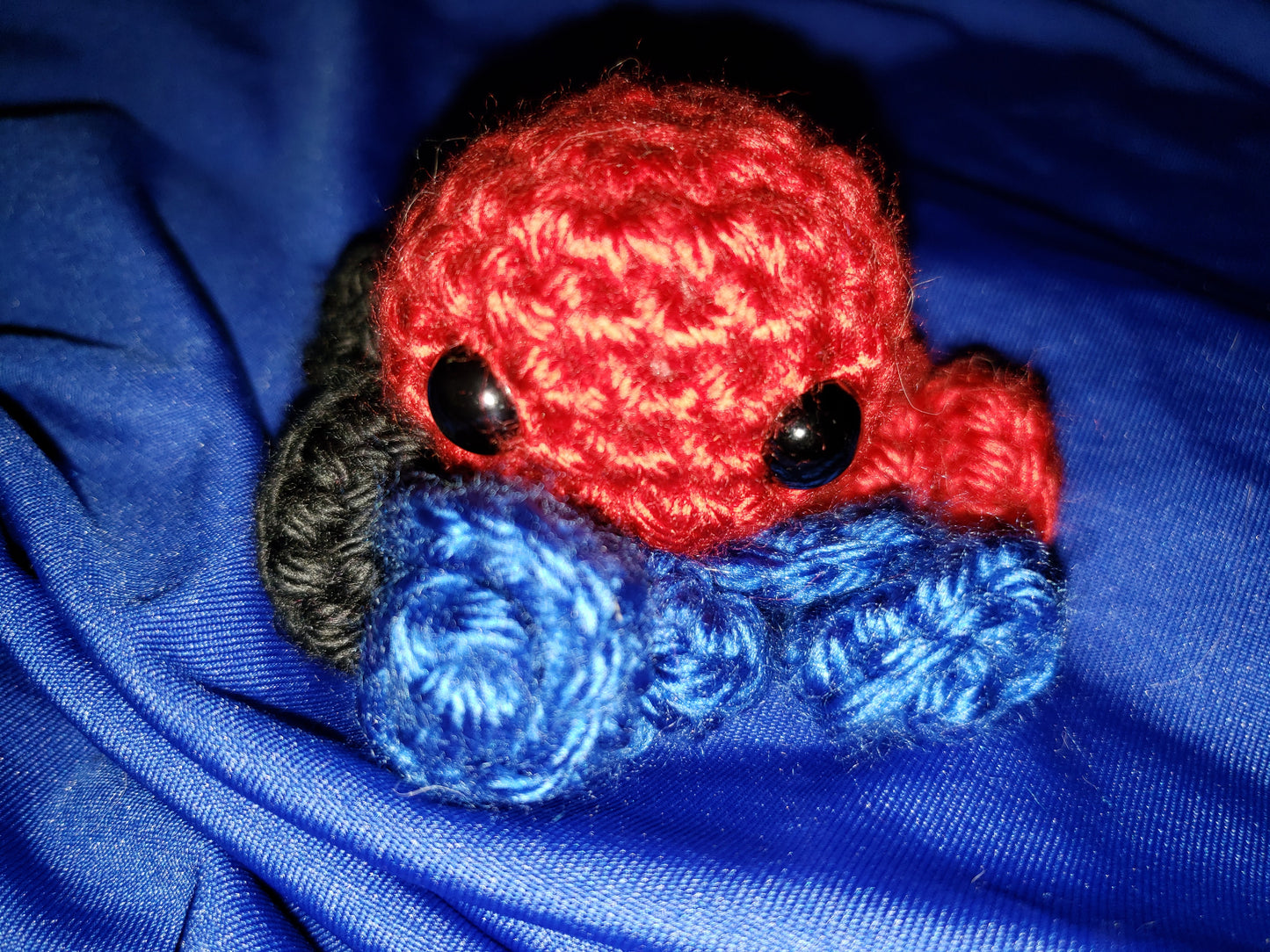 Pride Octopus