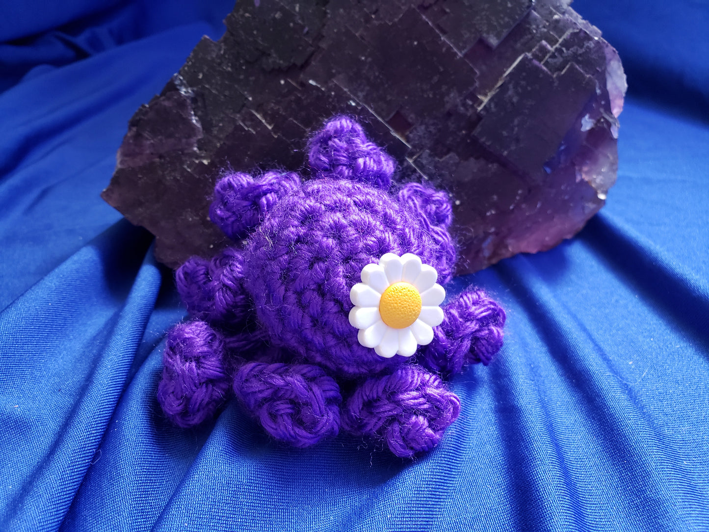 Daisy Octopus