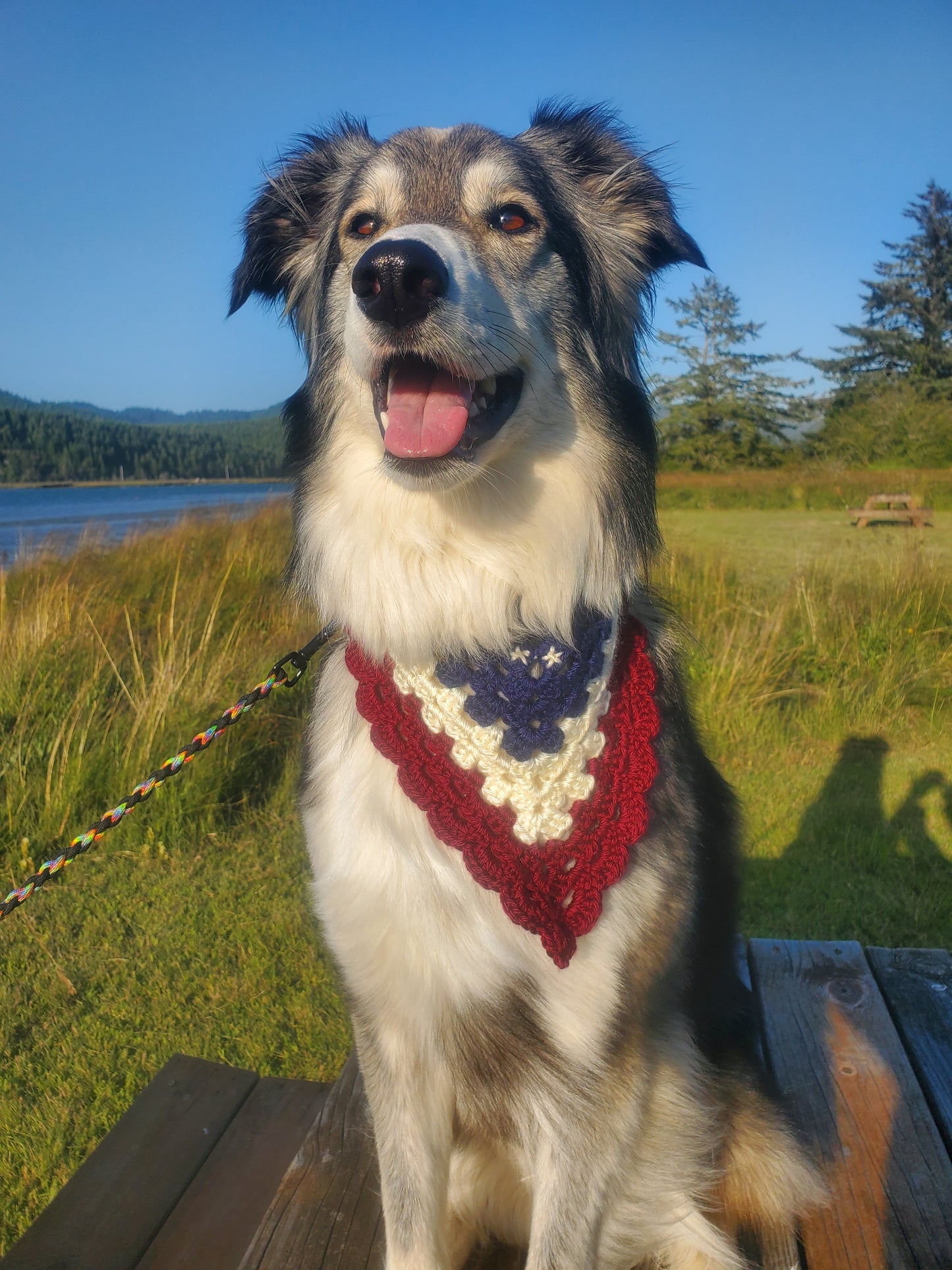Pet Bandana