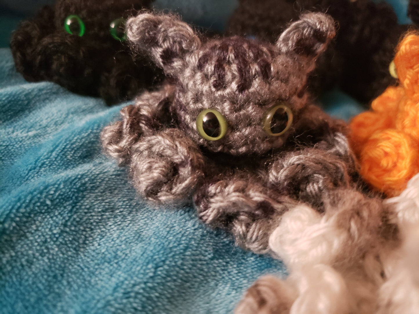 Catopus