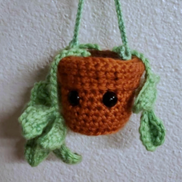Hoya Ornament