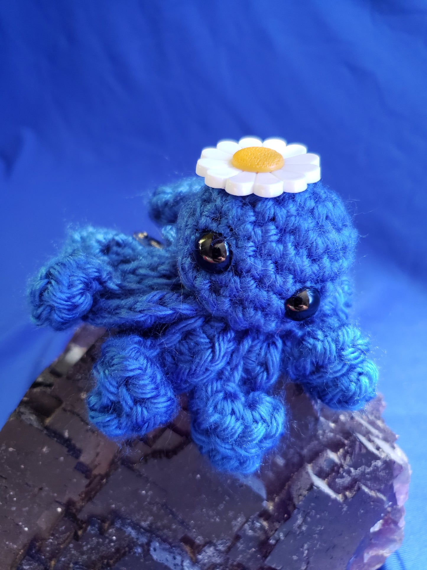 Daisy Octopus