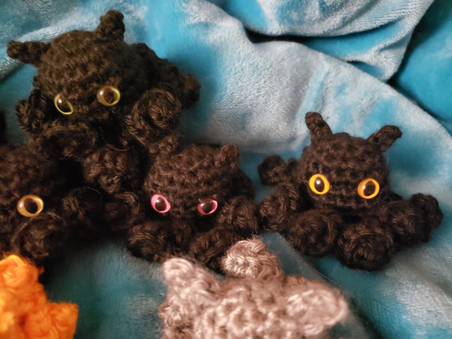 Catopus