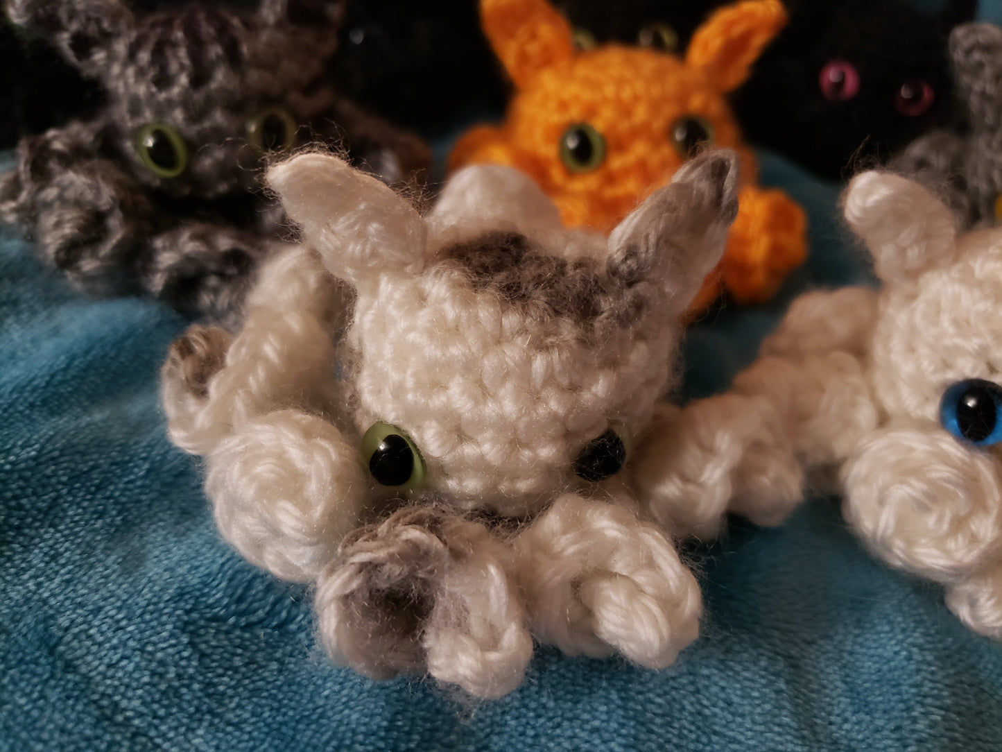 Catopus