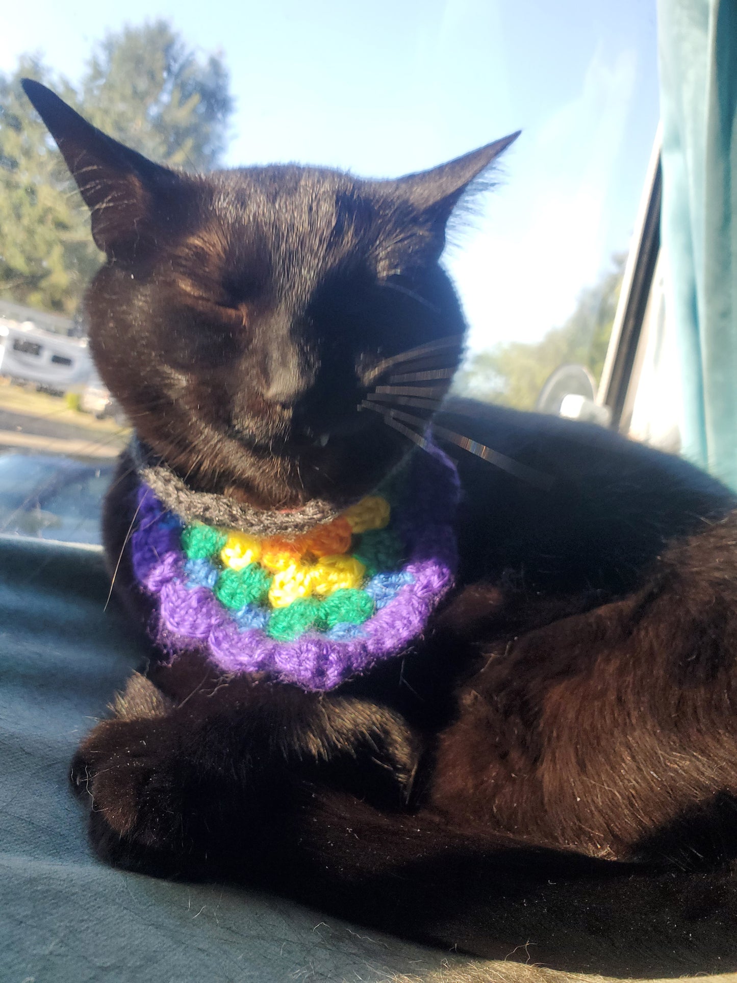 Pride Pet Bandana