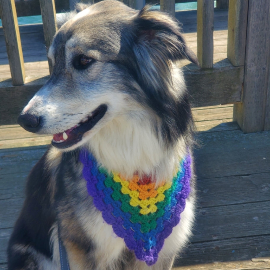 Pride Pet Bandana