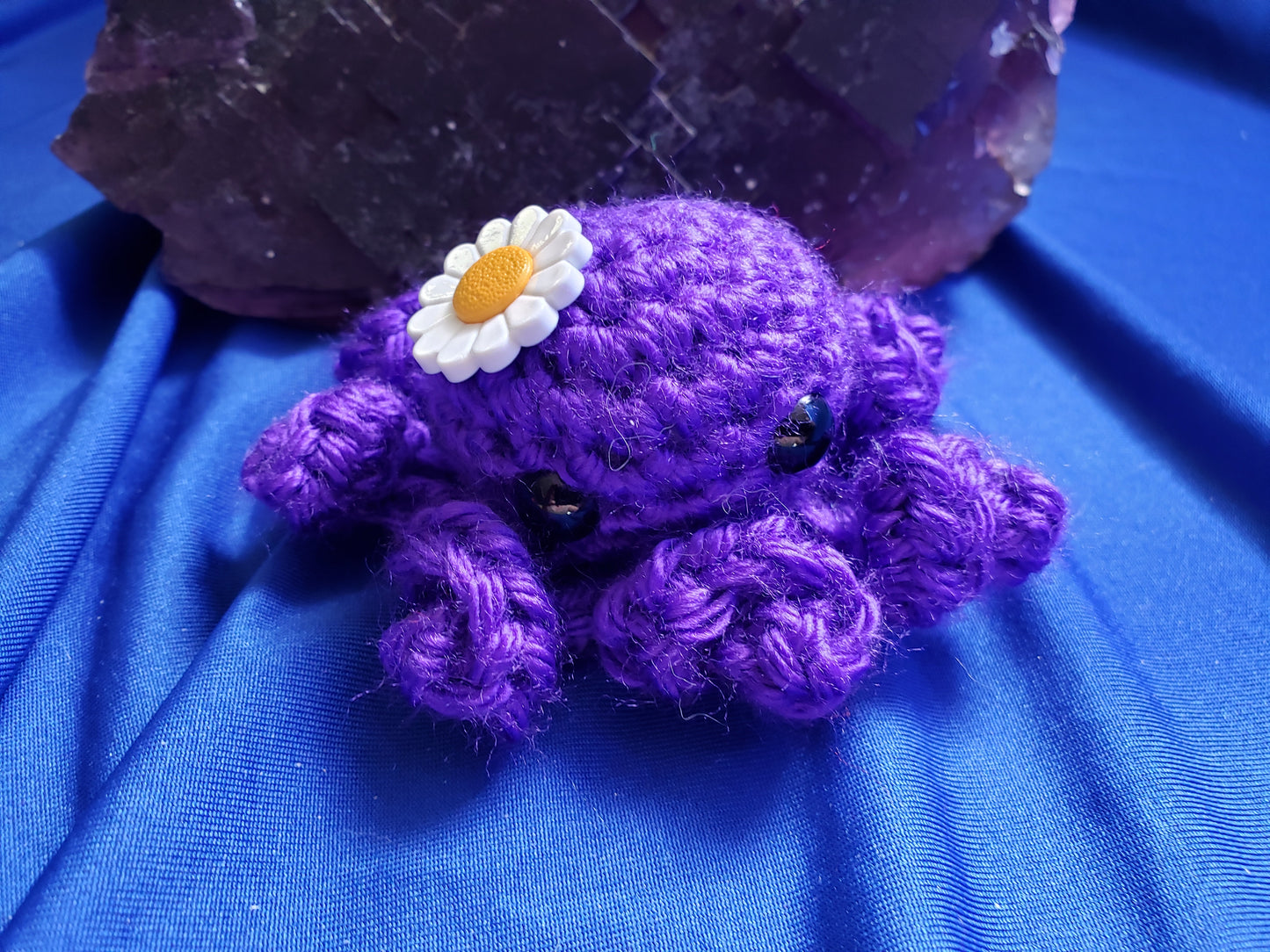 Daisy Octopus